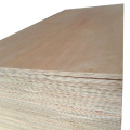 high quality maple face plywood for America market